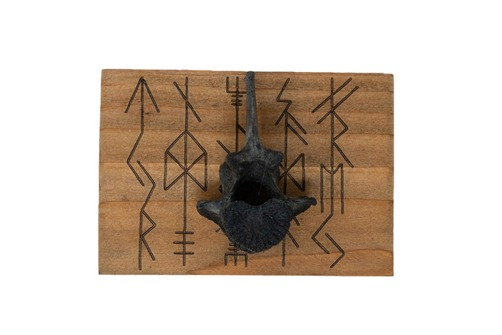 Blackened Deer Vertebra Wall Hangers