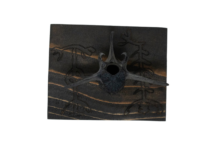 Blackened Deer Vertebra Wall Hangers