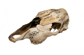 Odin Invocation Cow Skull