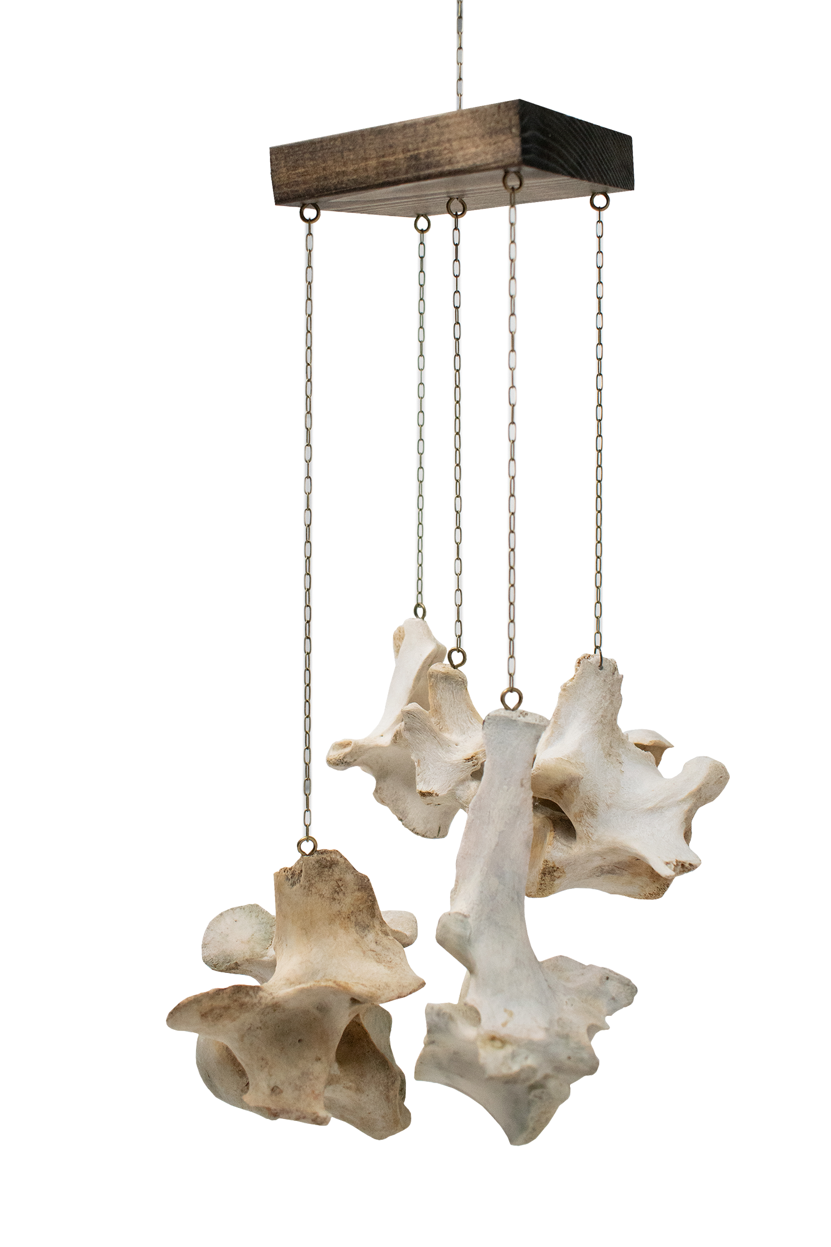 Helm of Awe Elk Vertebra Wind Chime