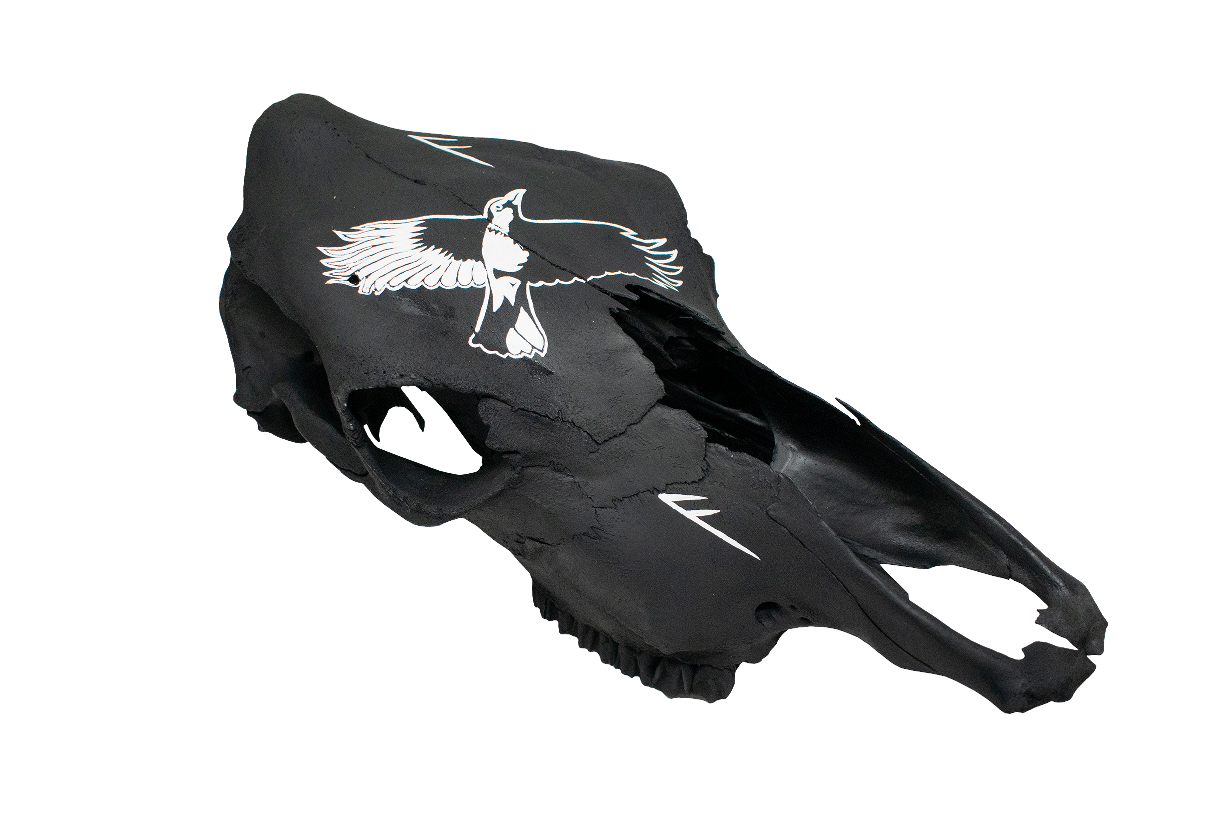 Raven & Ansuz Rune Cow Skull – Odin’s Voice, Guidance, and Divine Insight