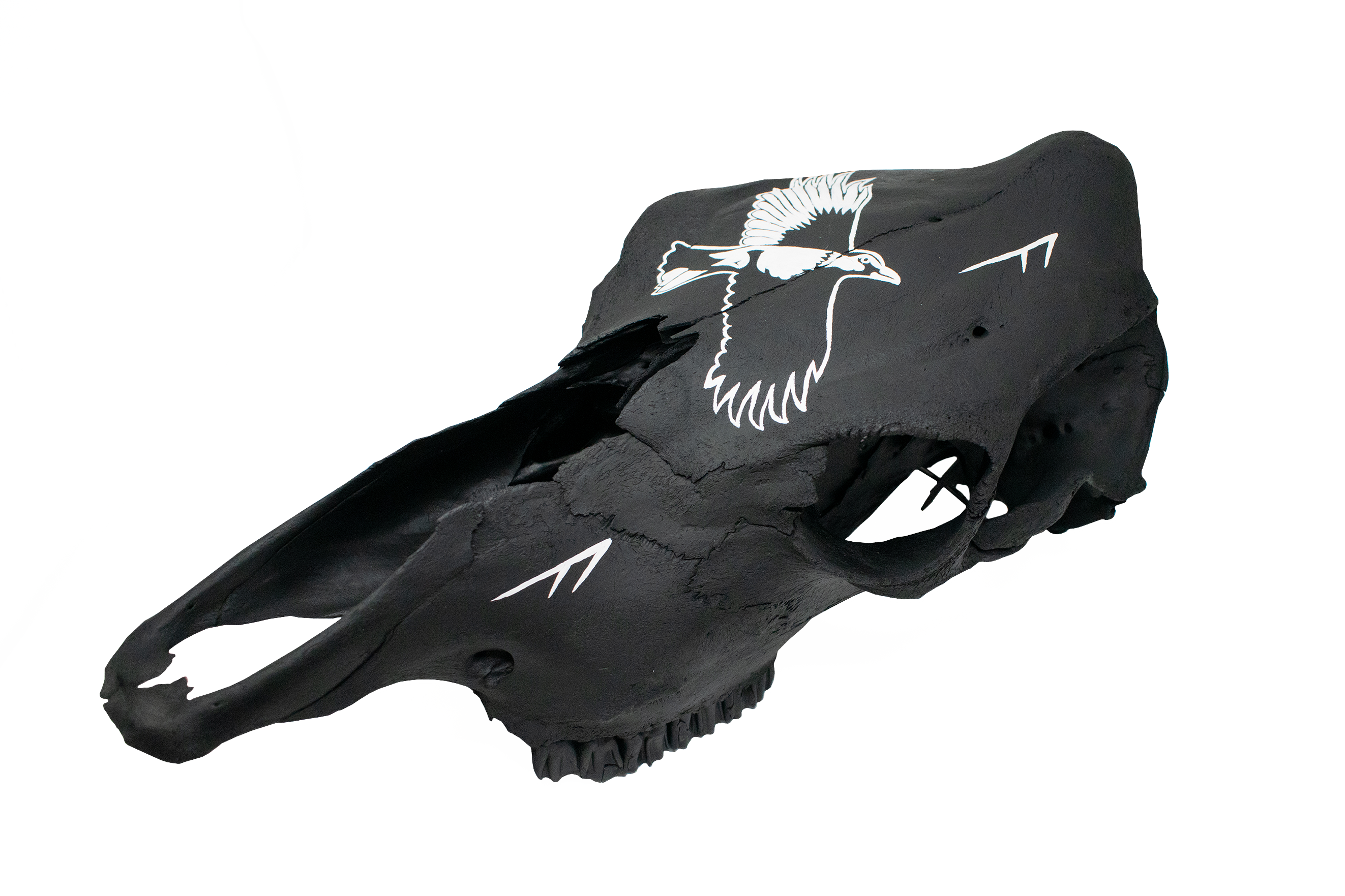 Raven & Ansuz Rune Cow Skull – Odin’s Voice, Guidance, and Divine Insight