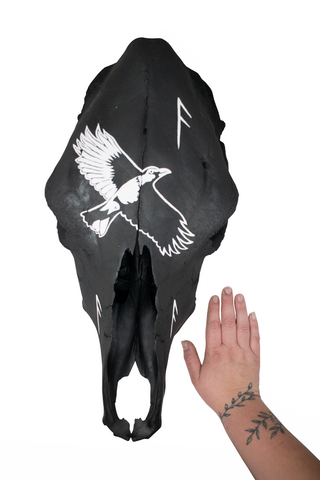 Image of Raven & Ansuz Rune Cow Skull – Odin’s Voice, Guidance, and Divine Insight