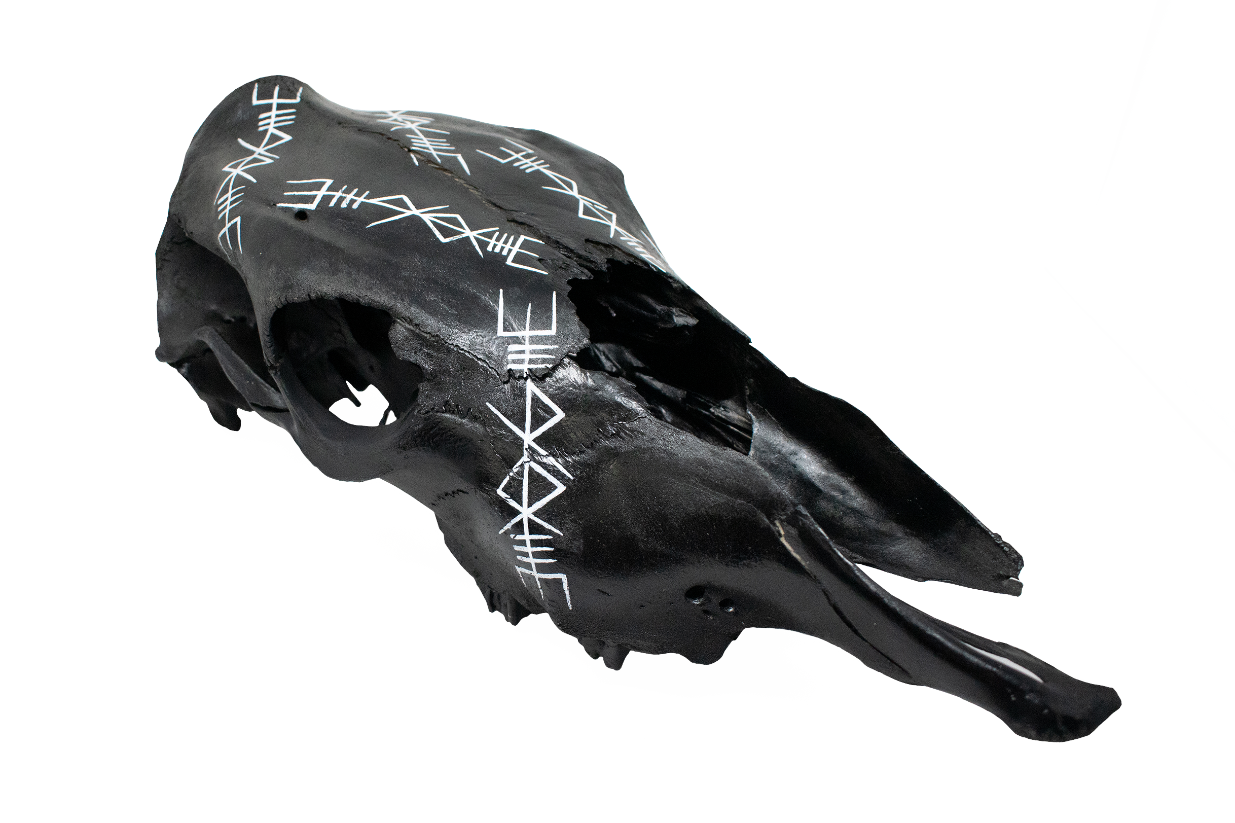Thor Bindrune Cow Skull – Repeating Invocation bindrunes for Strength and Protection