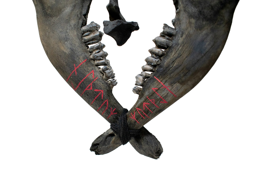 Blackened Elk Jawbone Wind Chime with Strength and Growth Stave