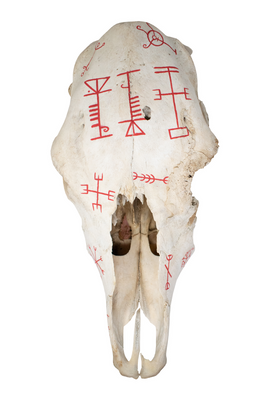 Icelandic Magical Staves Cow Skull