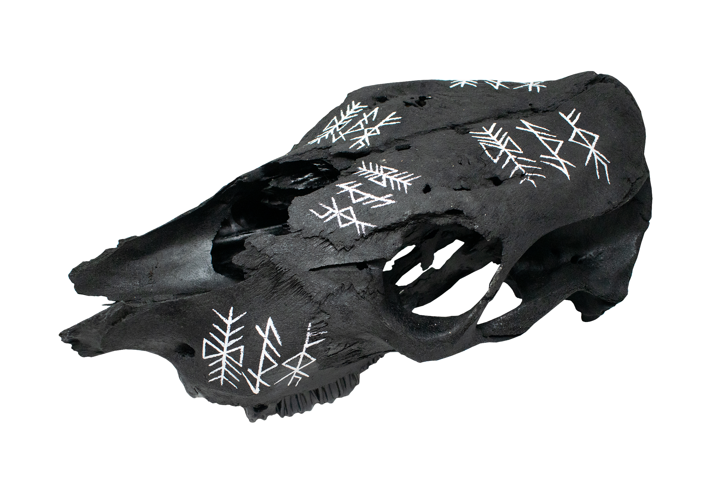 Achievement, Endurance, and Prosperous Home Bindrune Cow Skull