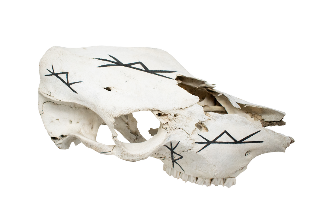 Hand Painted Safe-Travel Bindrune Cow Skull