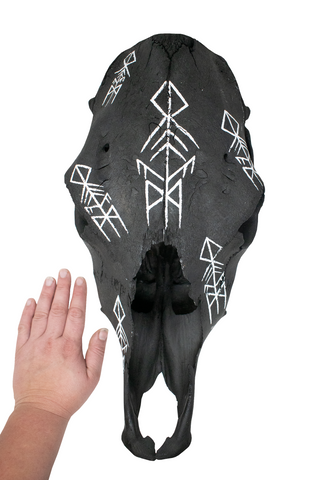 Image of Hand Painted Cow Skull with Ancestral Wisdom Bindrune