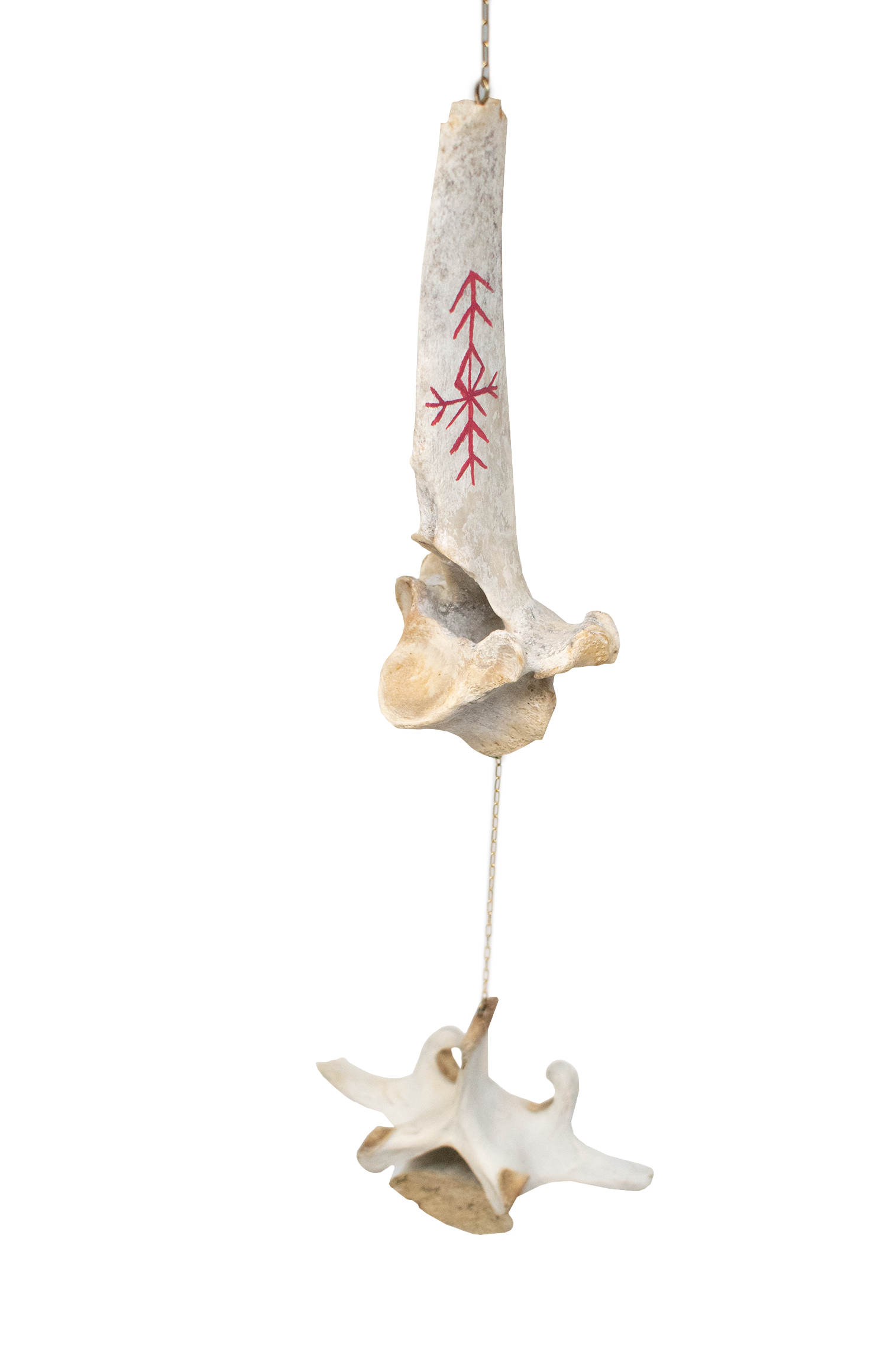 Elk Vertebra Bone Wind Chime - Home Protection Bindrunes