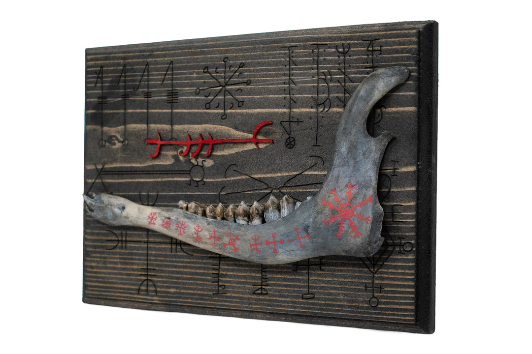 Blackened Deer Jawbone and Icelandic Magical Stave Wall Hanger