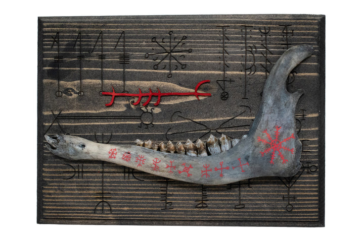 Blackened Deer Jawbone and Icelandic Magical Stave Wall Hanger