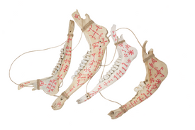 Hand Painted Jawbone with Icelandic Magical Staves