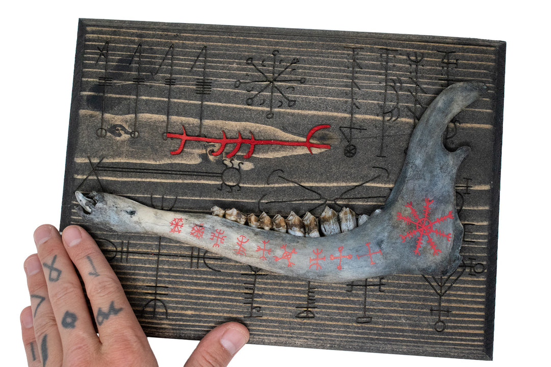 Blackened Deer Jawbone and Icelandic Magical Stave Wall Hanger