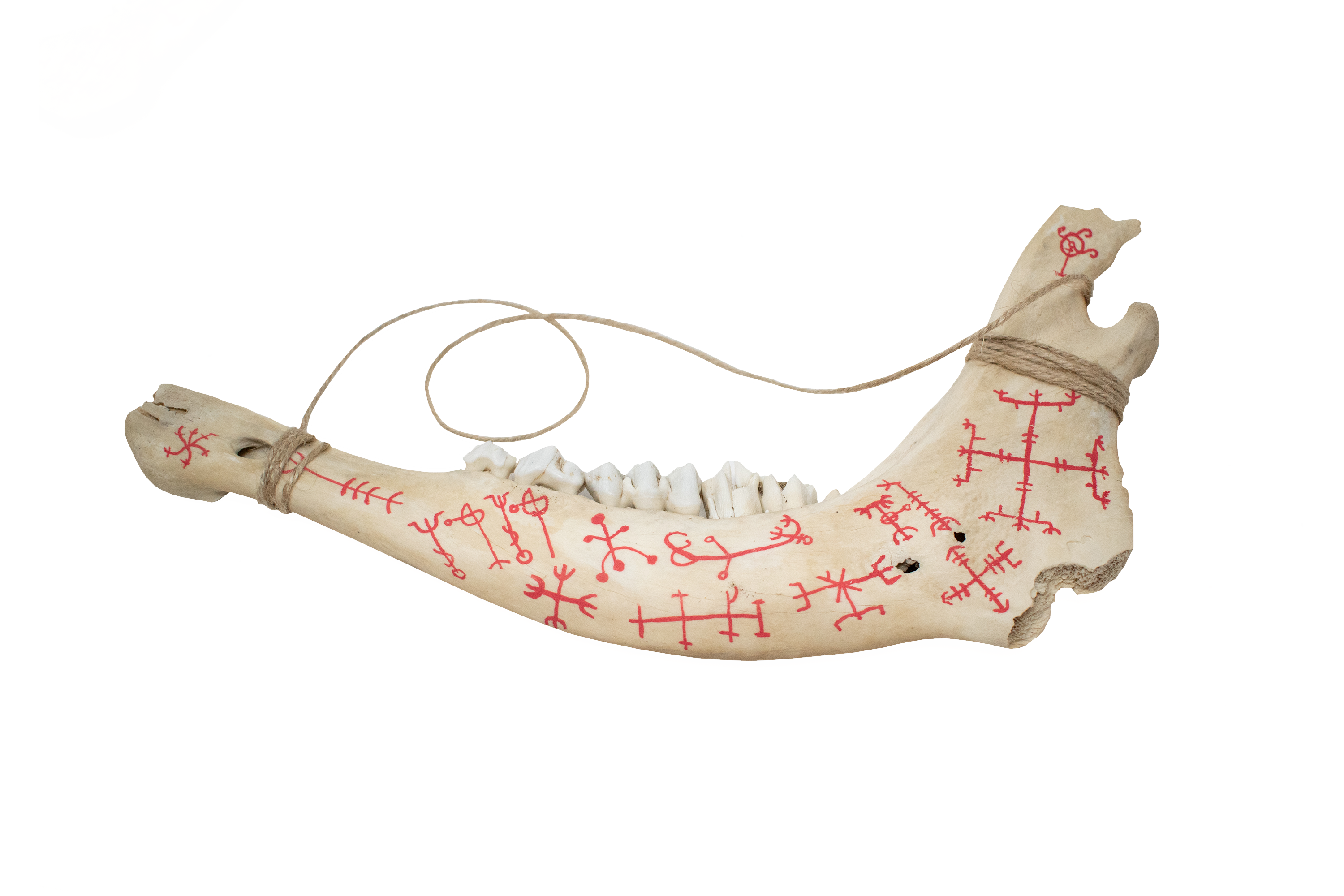 Hand Painted Jawbone with Icelandic Magical Staves