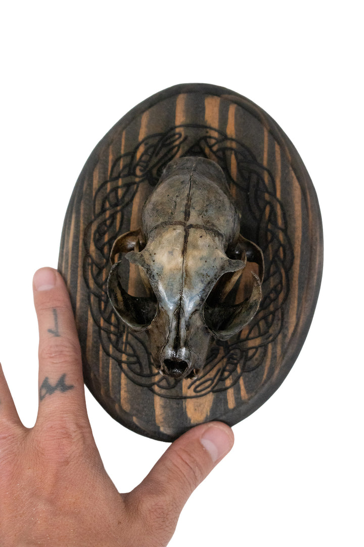 Blackened Bobcat Skull Wall Hanger with Jormungandr Knotwork