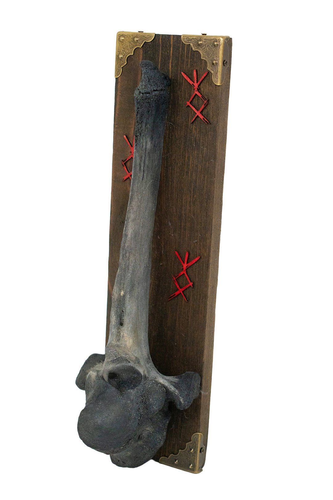 Blackened Cow Bone Wall Hanger with Home Protection Bindrunes