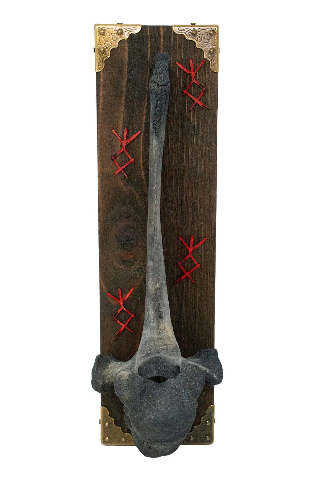 Blackened Cow Bone Wall Hanger with Home Protection Bindrunes
