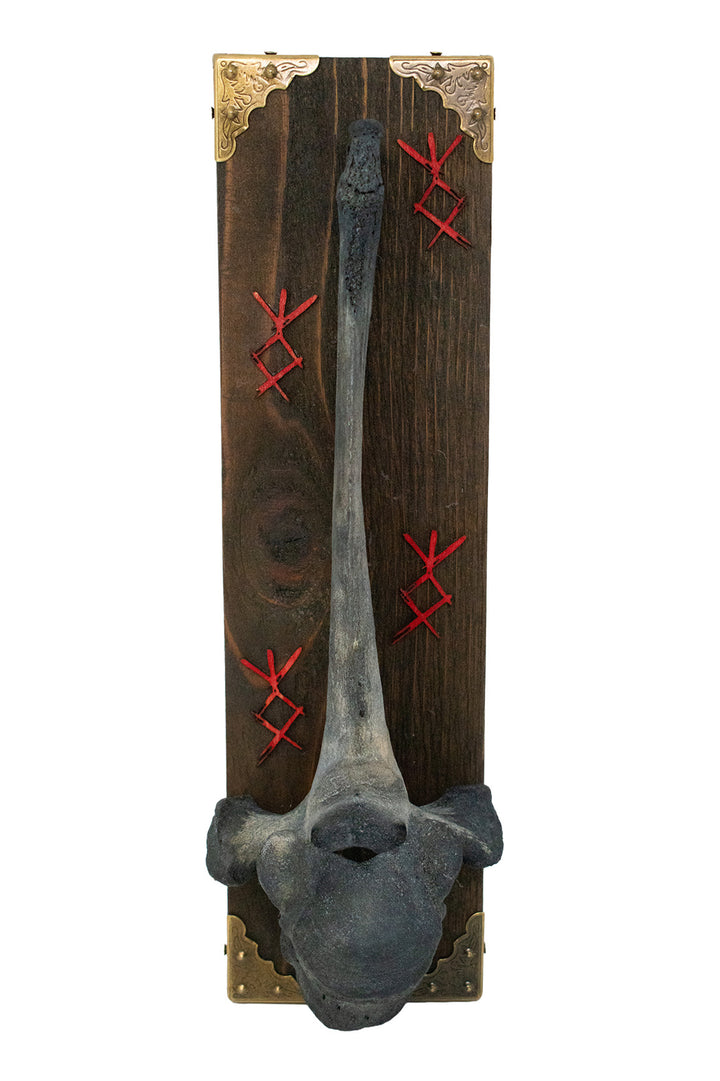 Blackened Cow Bone Wall Hanger with Home Protection Bindrunes