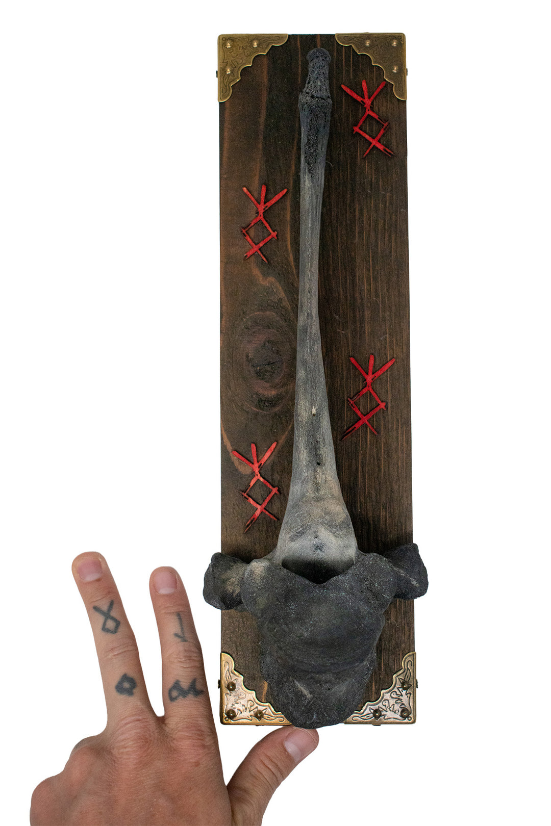 Blackened Cow Bone Wall Hanger with Home Protection Bindrunes