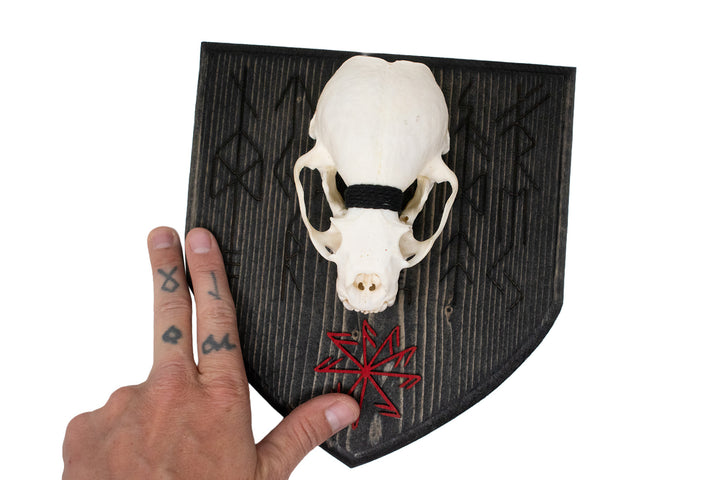 Otter Skull Wall Hanger with Norse God Bindrunes