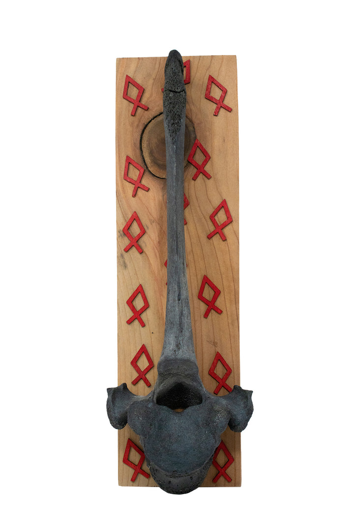 Blackened Cow Vertebra Wall Hanger with Othala Rune Cutouts