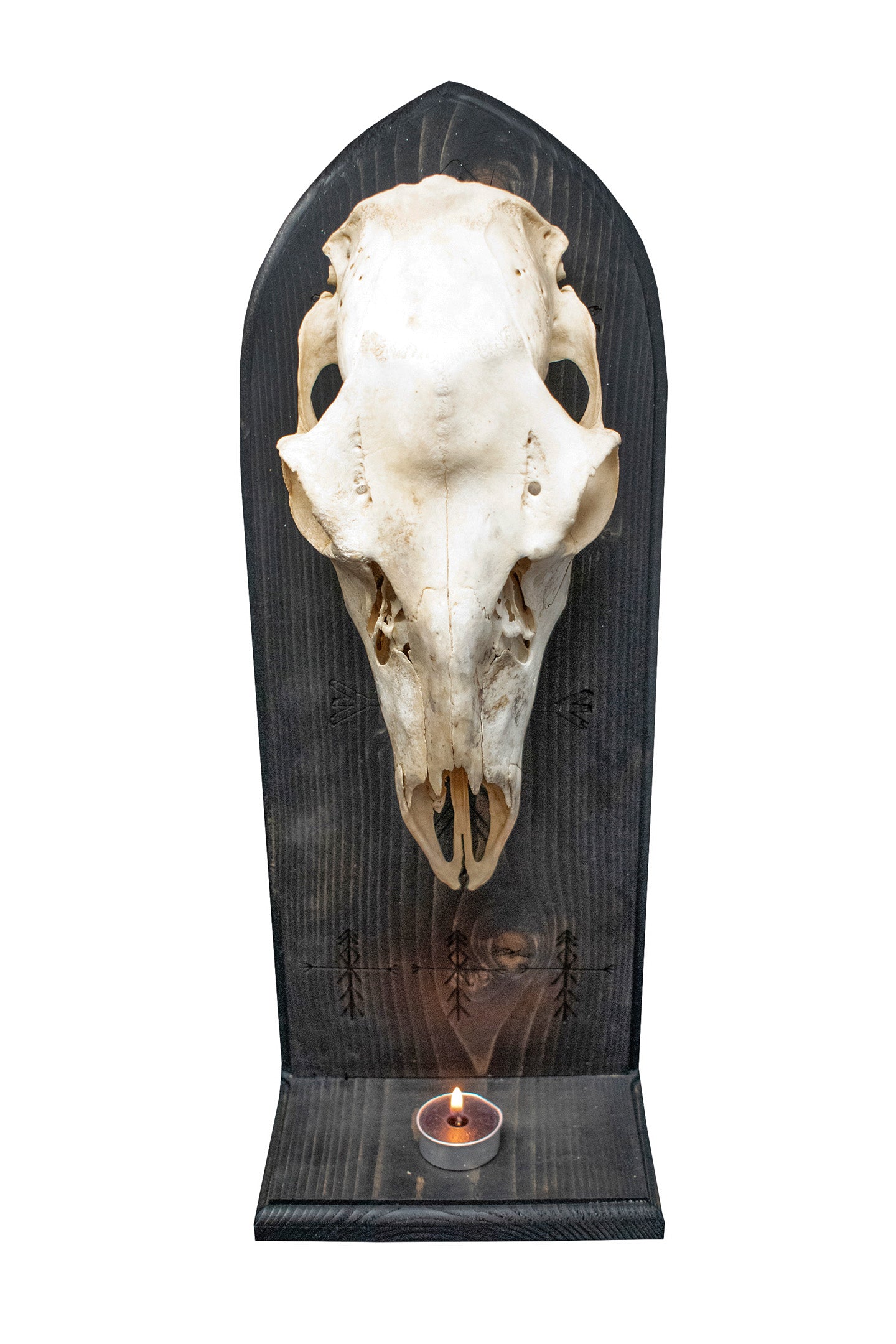 Deer Skull Altar with Home Protection Bindrunes