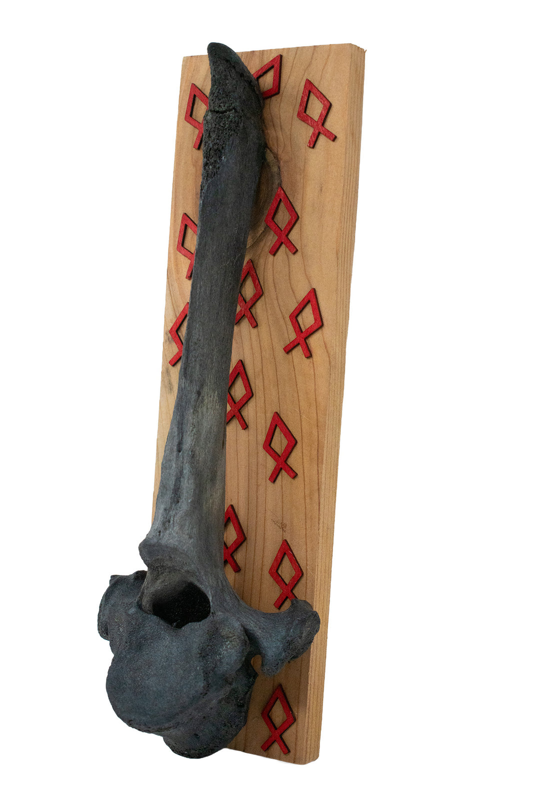 Blackened Cow Vertebra Wall Hanger with Othala Rune Cutouts