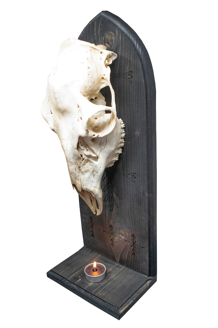 Deer Skull Altar with Home Protection Bindrunes