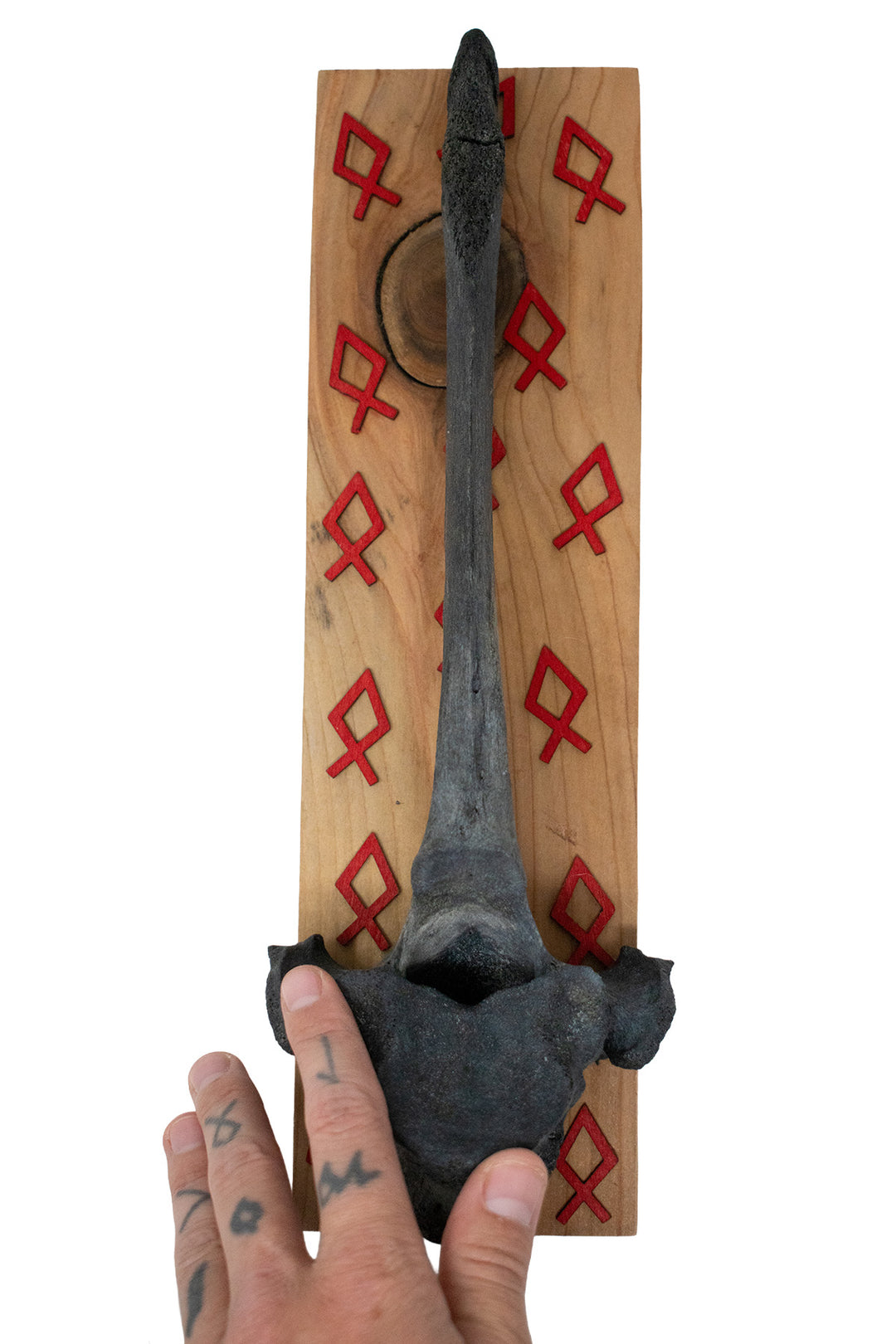 Blackened Cow Vertebra Wall Hanger with Othala Rune Cutouts