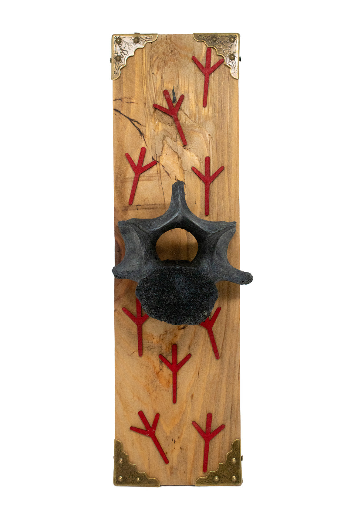 Blackened Elk Vertebra Wall Hanger with Algiz Rune Cutouts – Oreamnos ...
