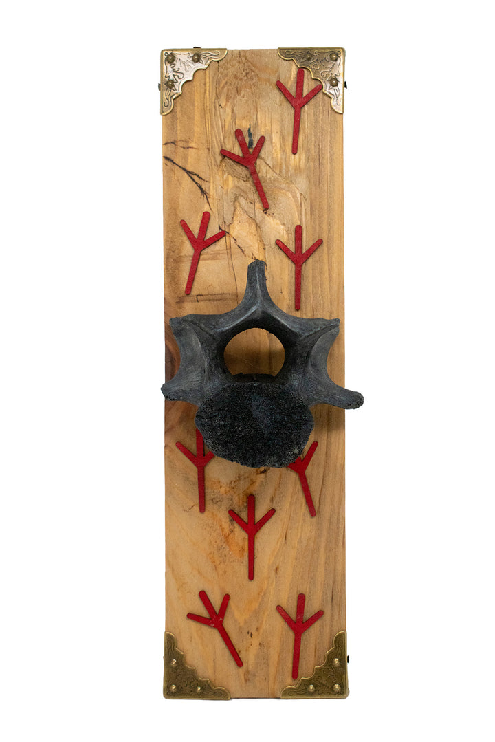 Blackened Elk Vertebra Wall Hanger with Algiz Rune Cutouts