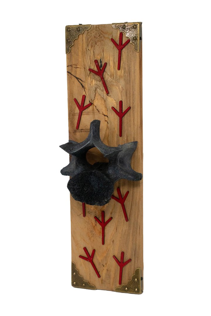 Blackened Elk Vertebra Wall Hanger with Algiz Rune Cutouts