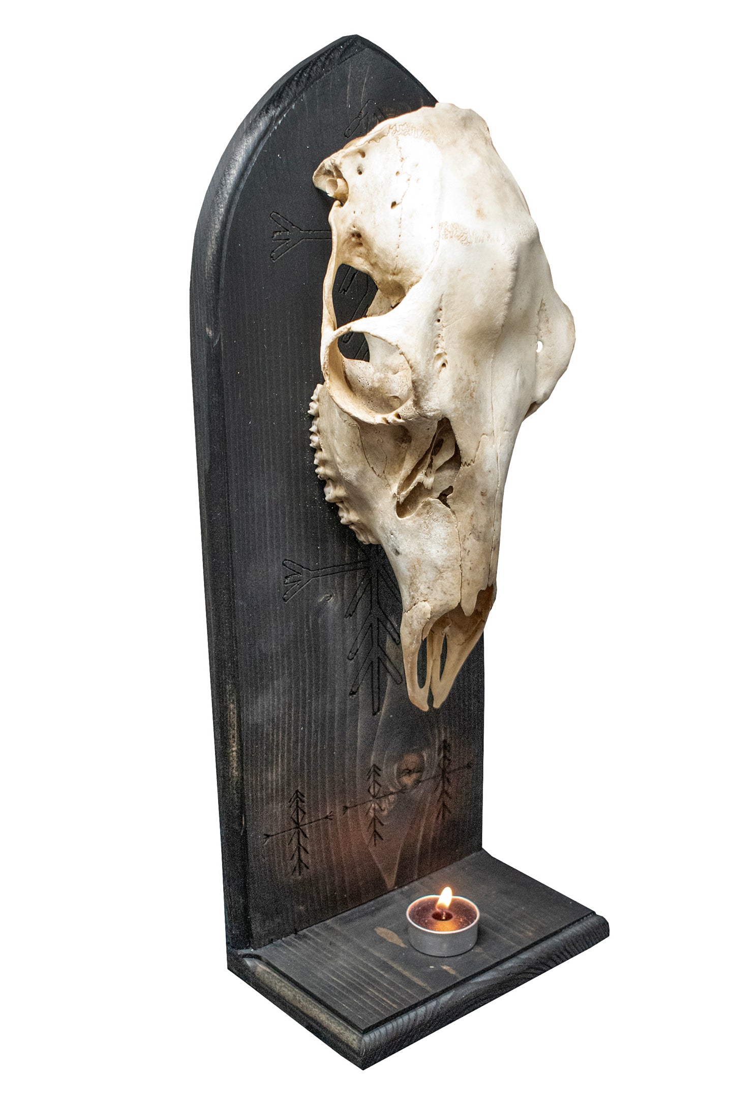 Deer Skull Altar with Home Protection Bindrunes