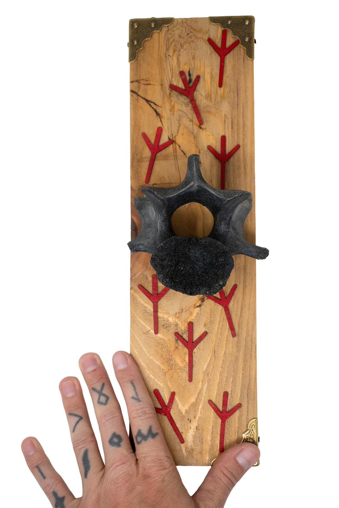 Blackened Elk Vertebra Wall Hanger with Algiz Rune Cutouts