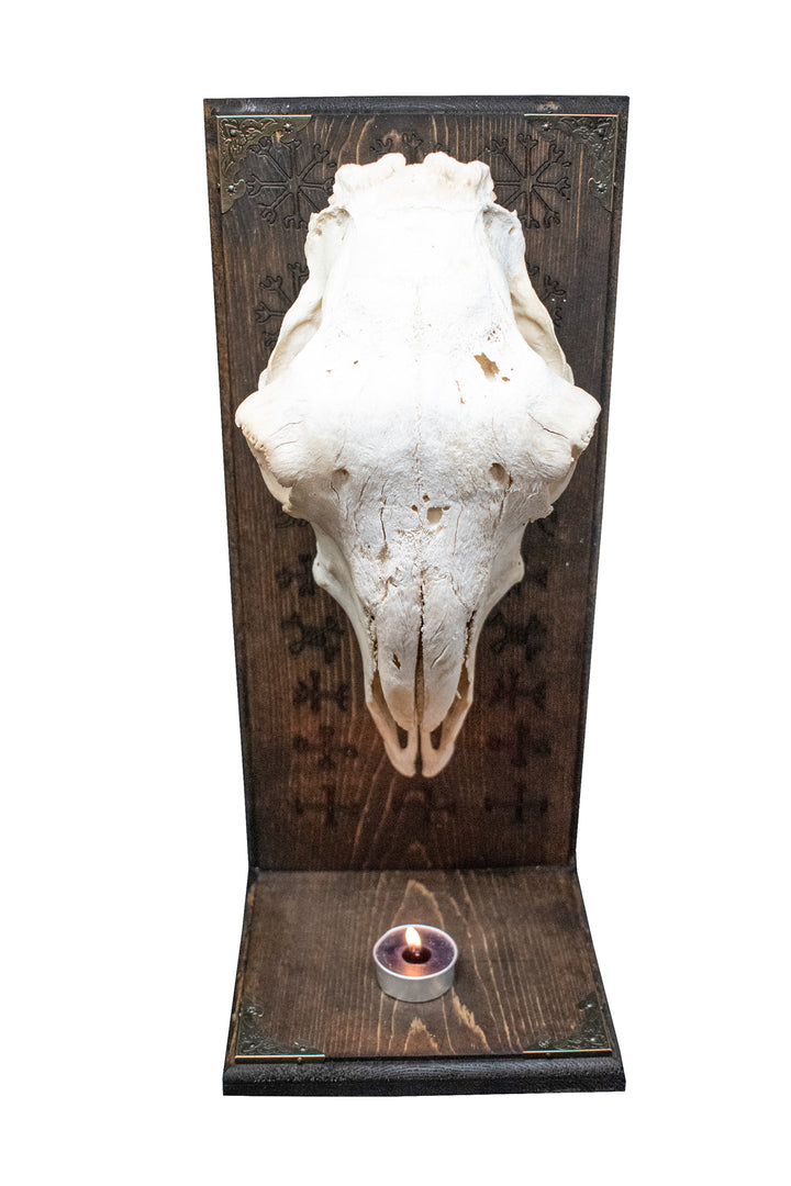 Sheep Skull Altar with Repeating Nine Helms