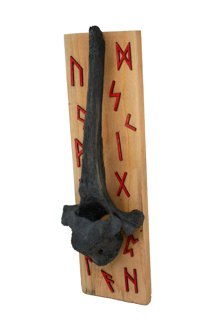 Blackened Cow Vertebra Wall Hanger with Elder Futhark Rune Cutouts