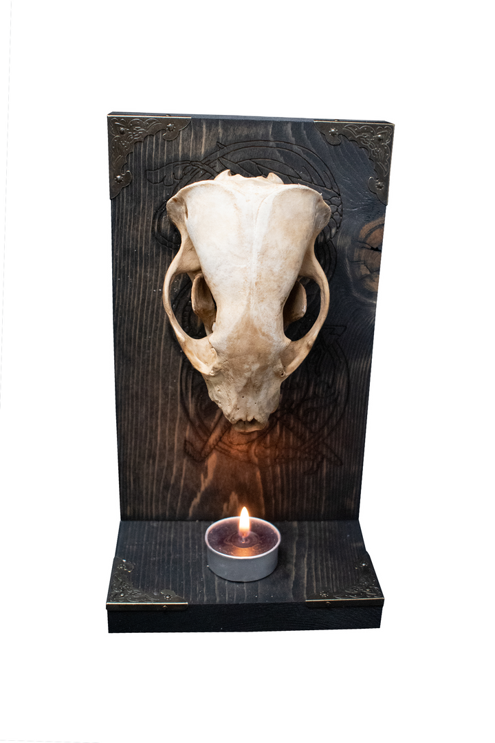 Badger Skull Altar with Fafnir and Sigurd Engraving