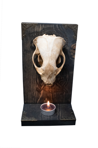 Image of Badger Skull Altar with Fafnir and Sigurd Engraving