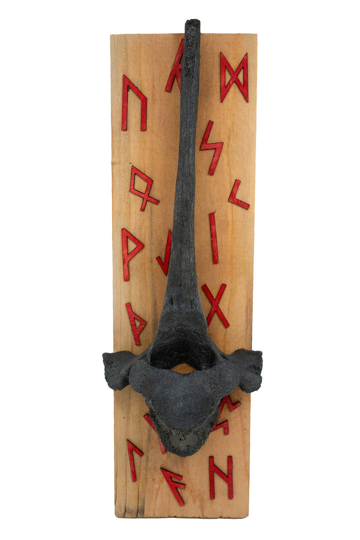 Blackened Cow Vertebra Wall Hanger with Elder Futhark Rune Cutouts