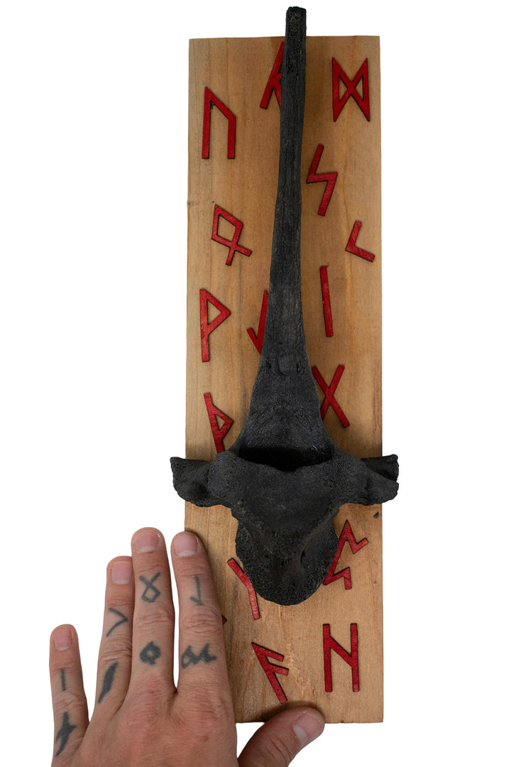 Blackened Cow Vertebra Wall Hanger with Elder Futhark Rune Cutouts