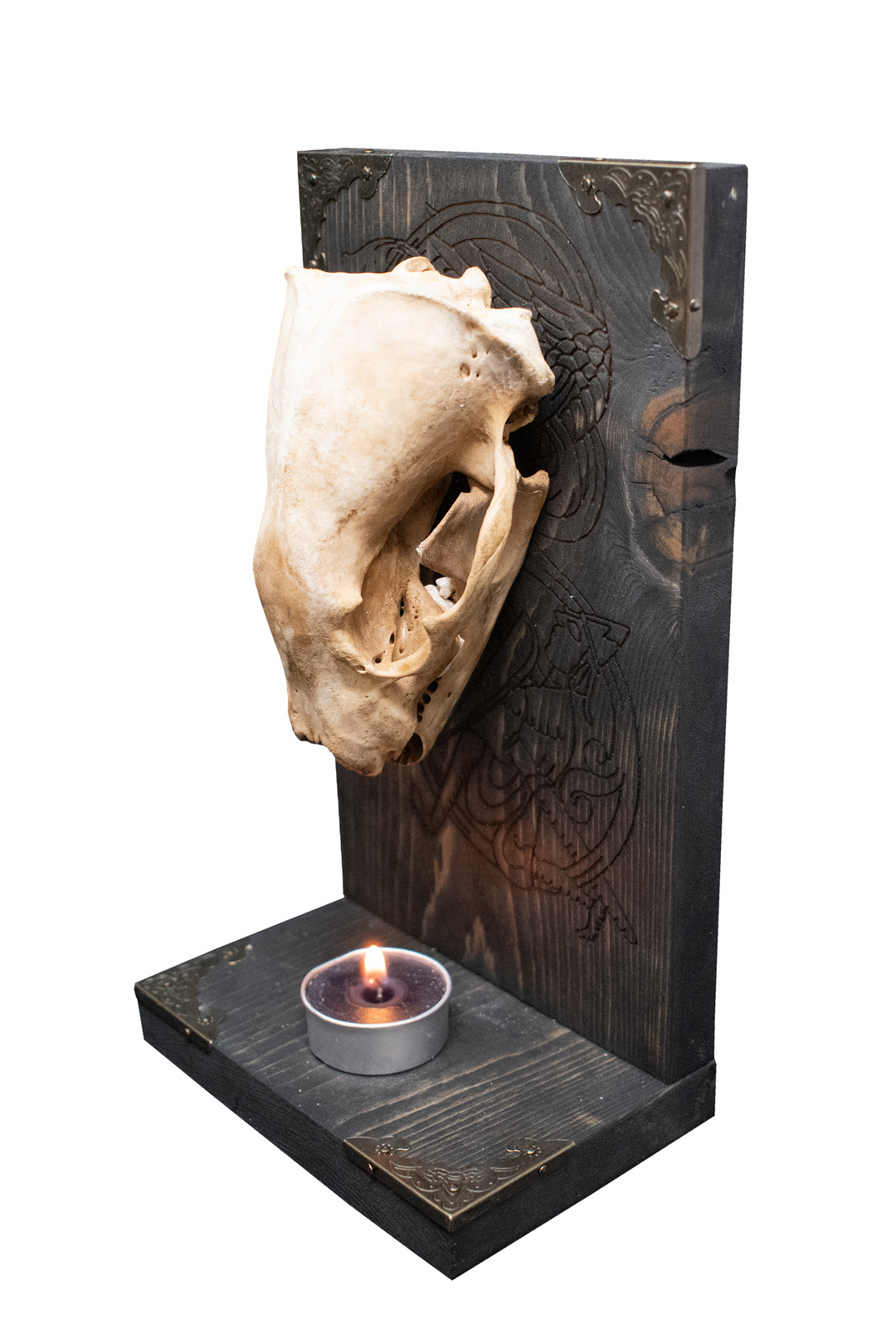 Badger Skull Altar with Fafnir and Sigurd Engraving