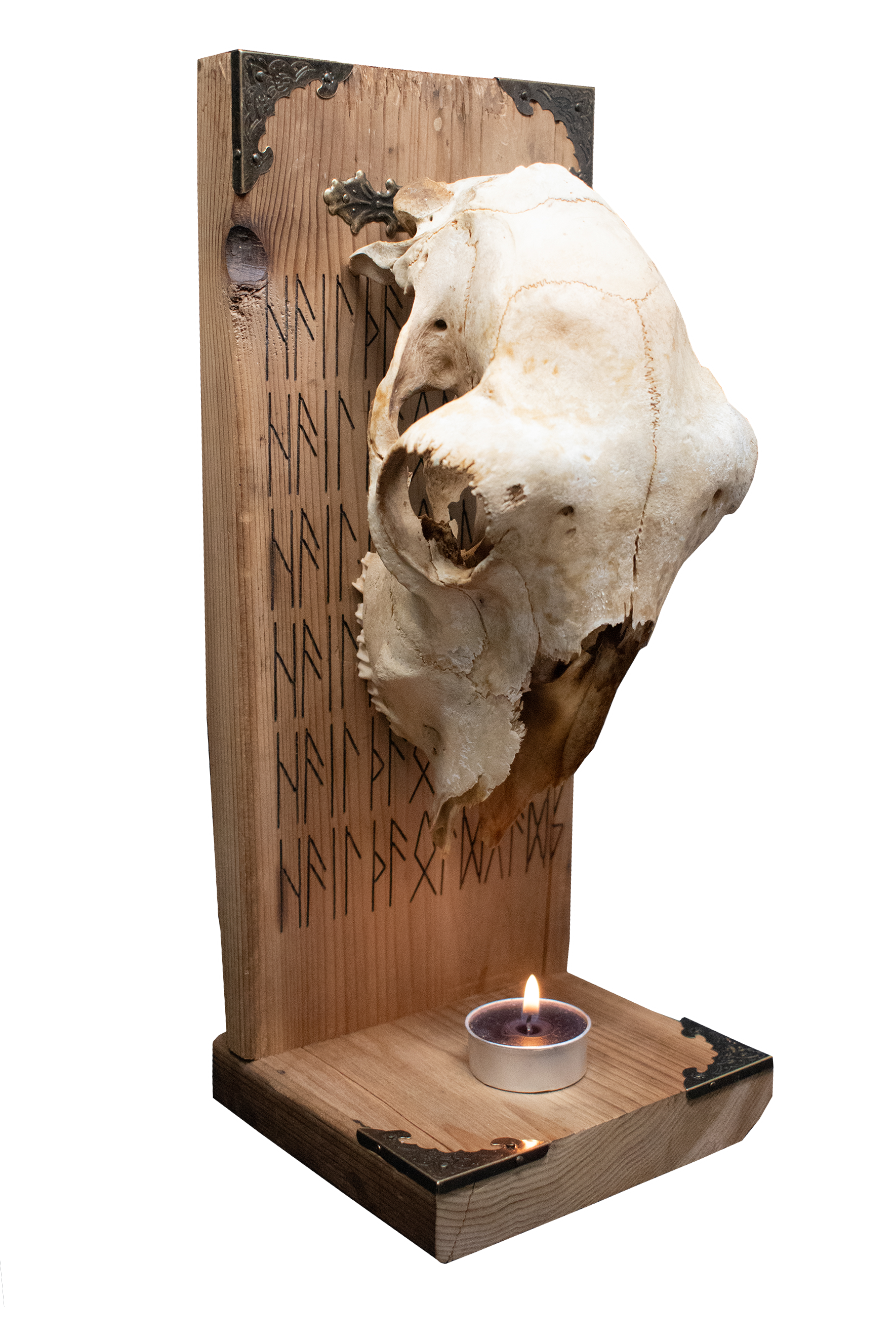 HAIL THE OLD GODS sheep skull altar
