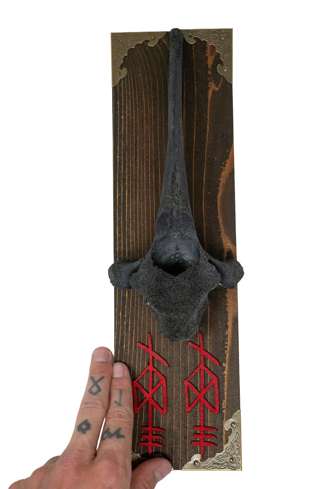 Blackened Cow Vertebra Wall Hanger with Odin Bindrunes