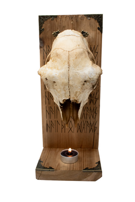 HAIL THE OLD GODS sheep skull altar