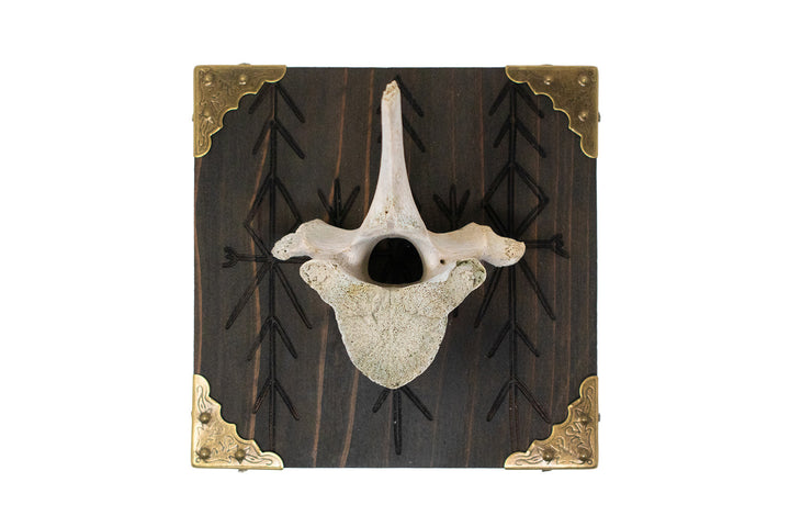 Elk Vertebra Home Protection Wall Hanger