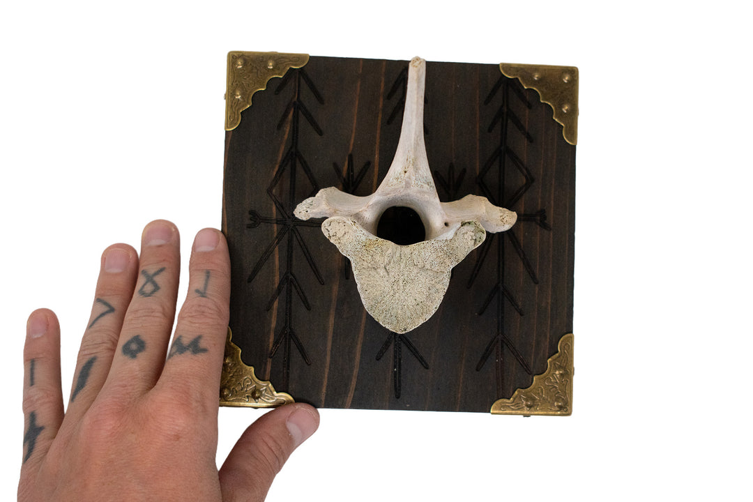 Elk Vertebra Home Protection Wall Hanger