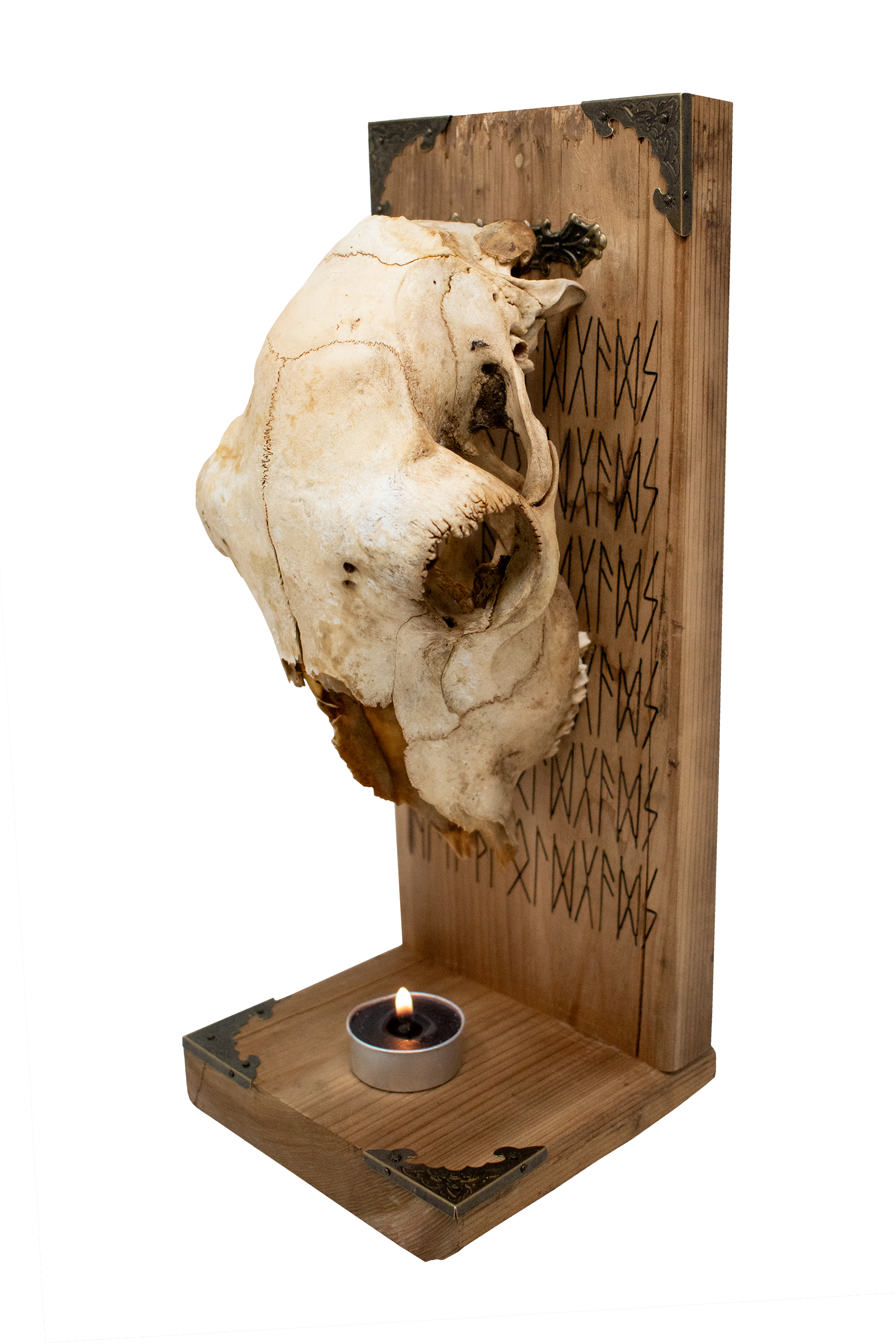 HAIL THE OLD GODS sheep skull altar