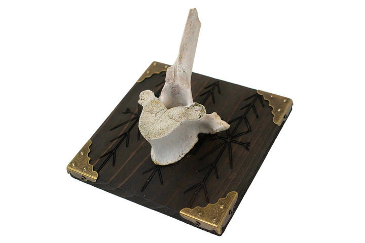 Elk Vertebra Home Protection Wall Hanger