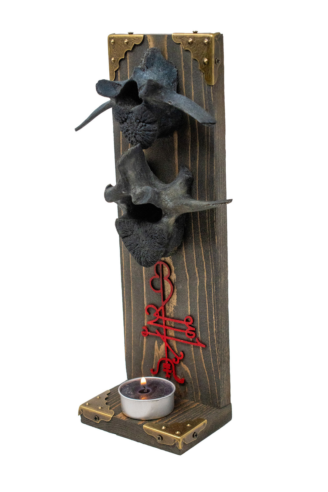 Blackened Elk Vertebra and Lukkustafir Altar